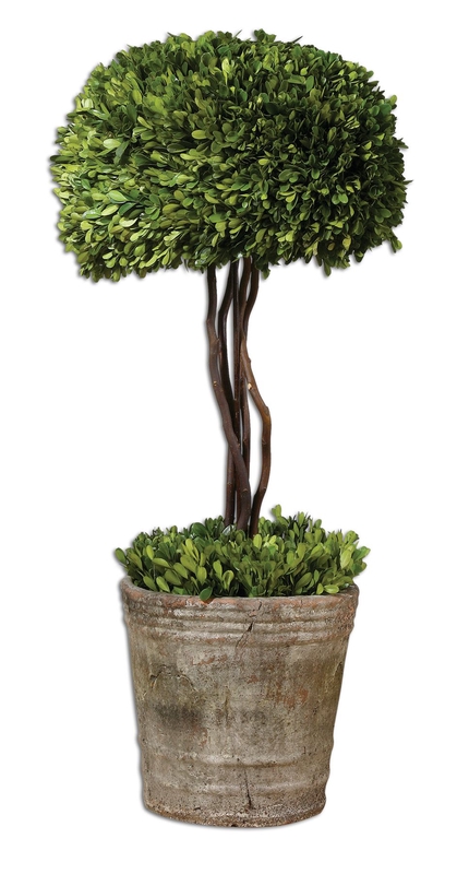 Tree Topiary Preserved Boxwood, Image 1 Tree Topiary Preserved Boxwood, Image 1